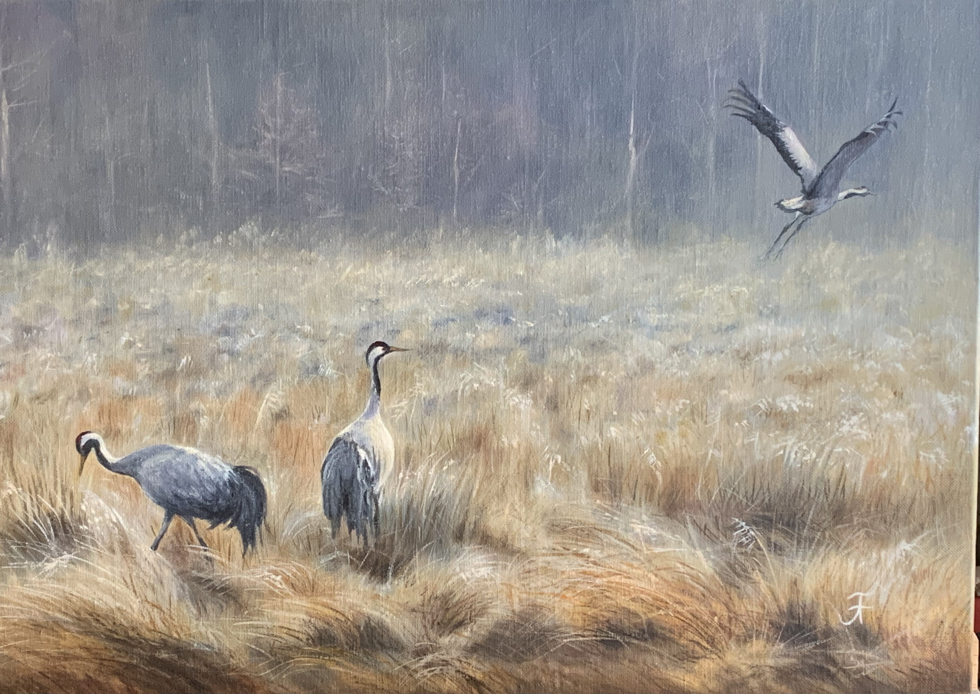 Les grues