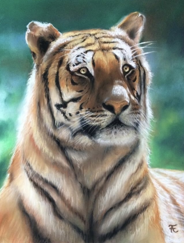 Le tigre
