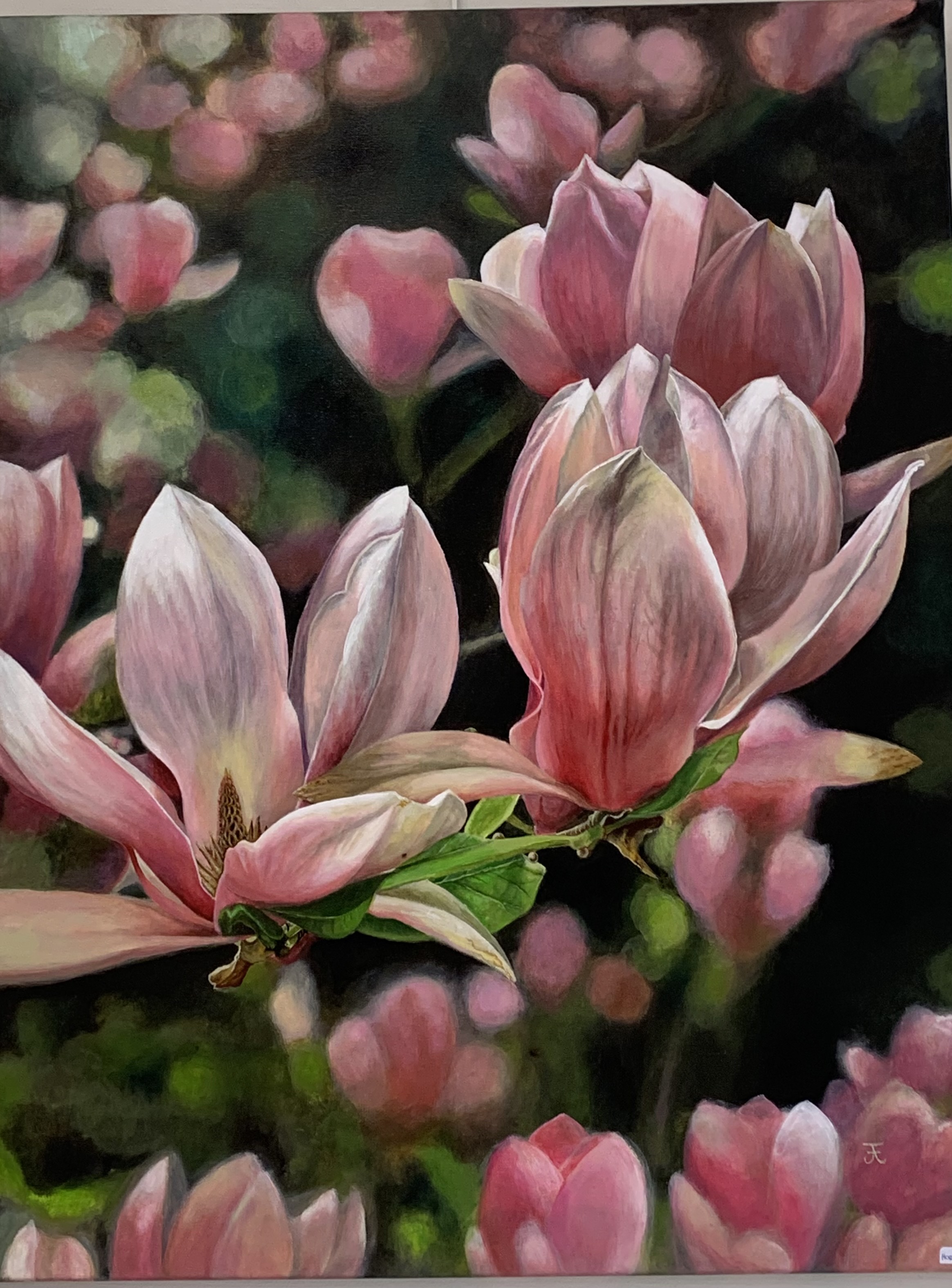 Les magnolias