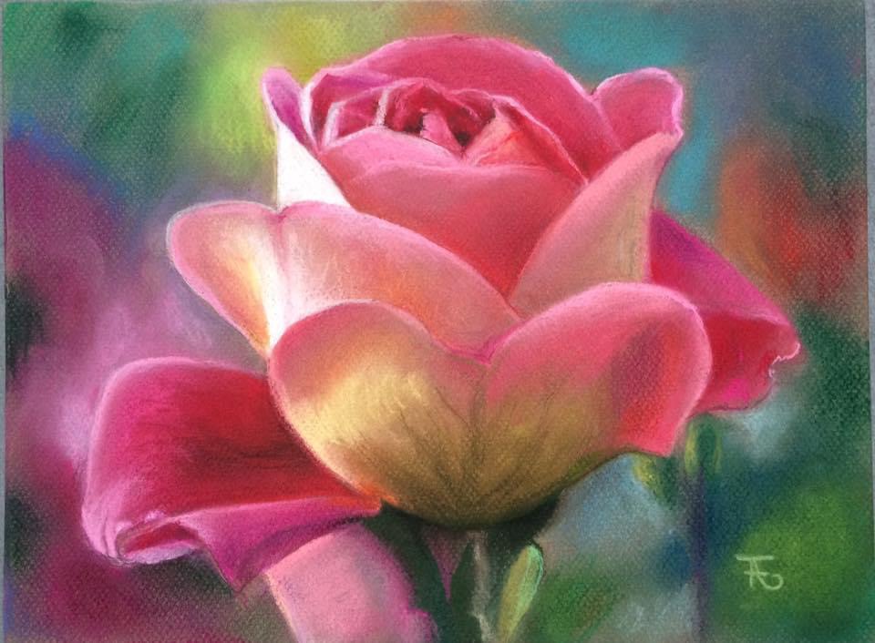 La rose