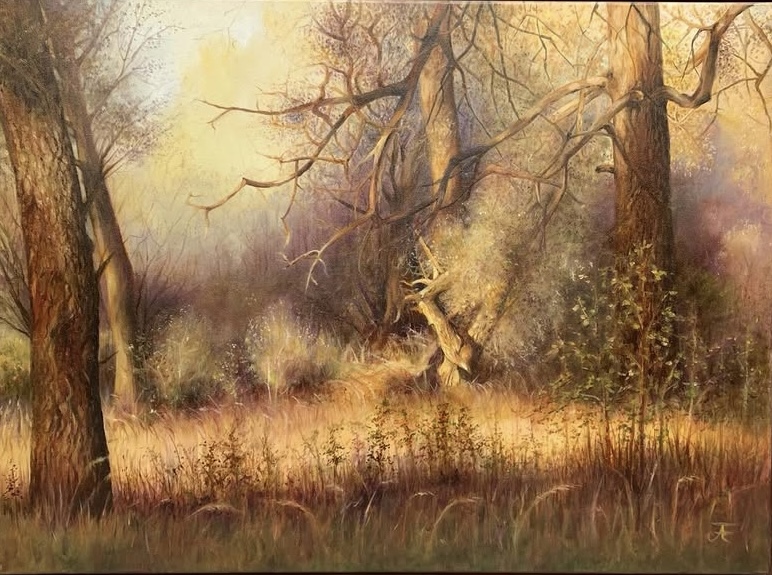 La forêt