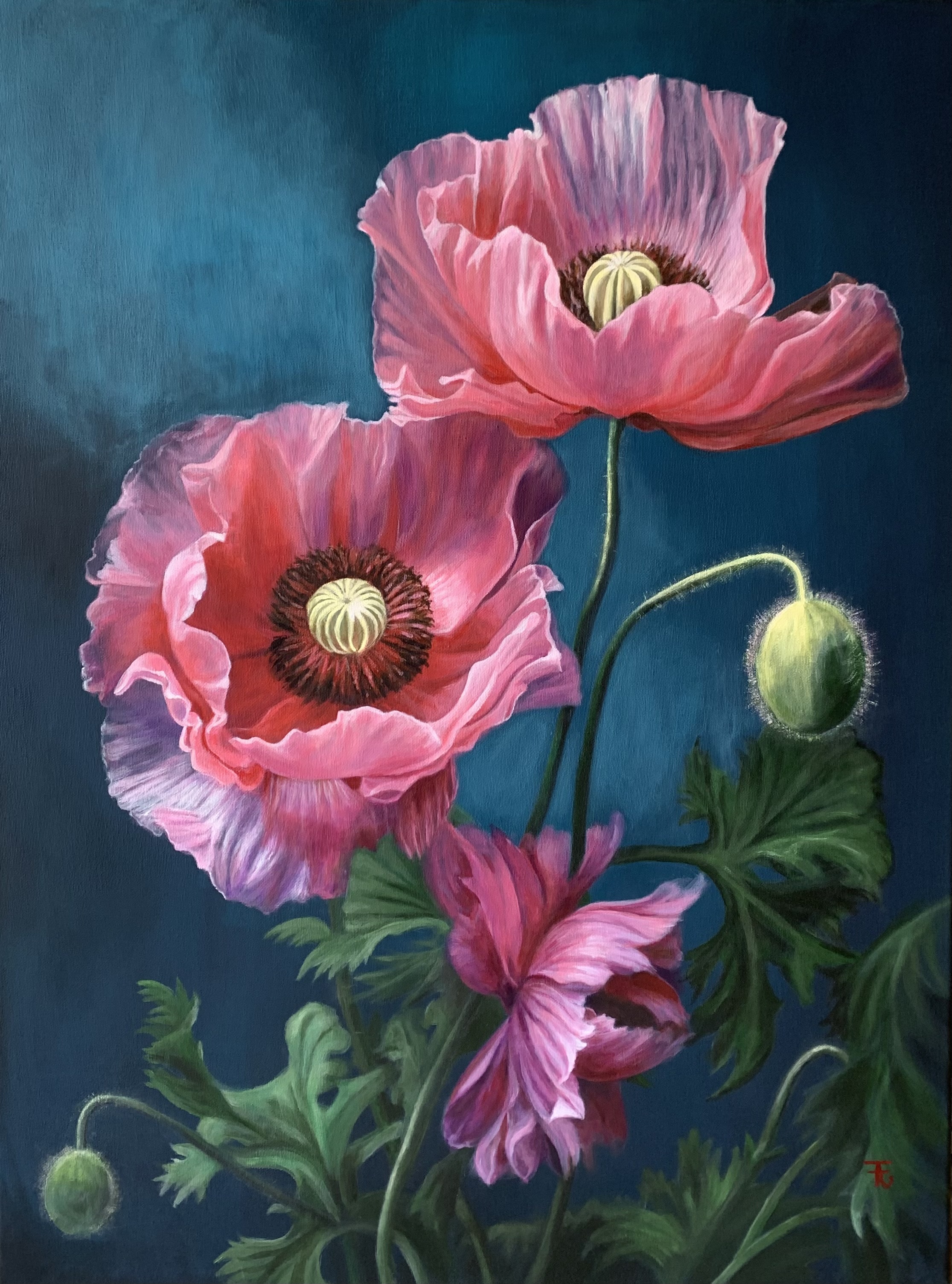 Les pavots