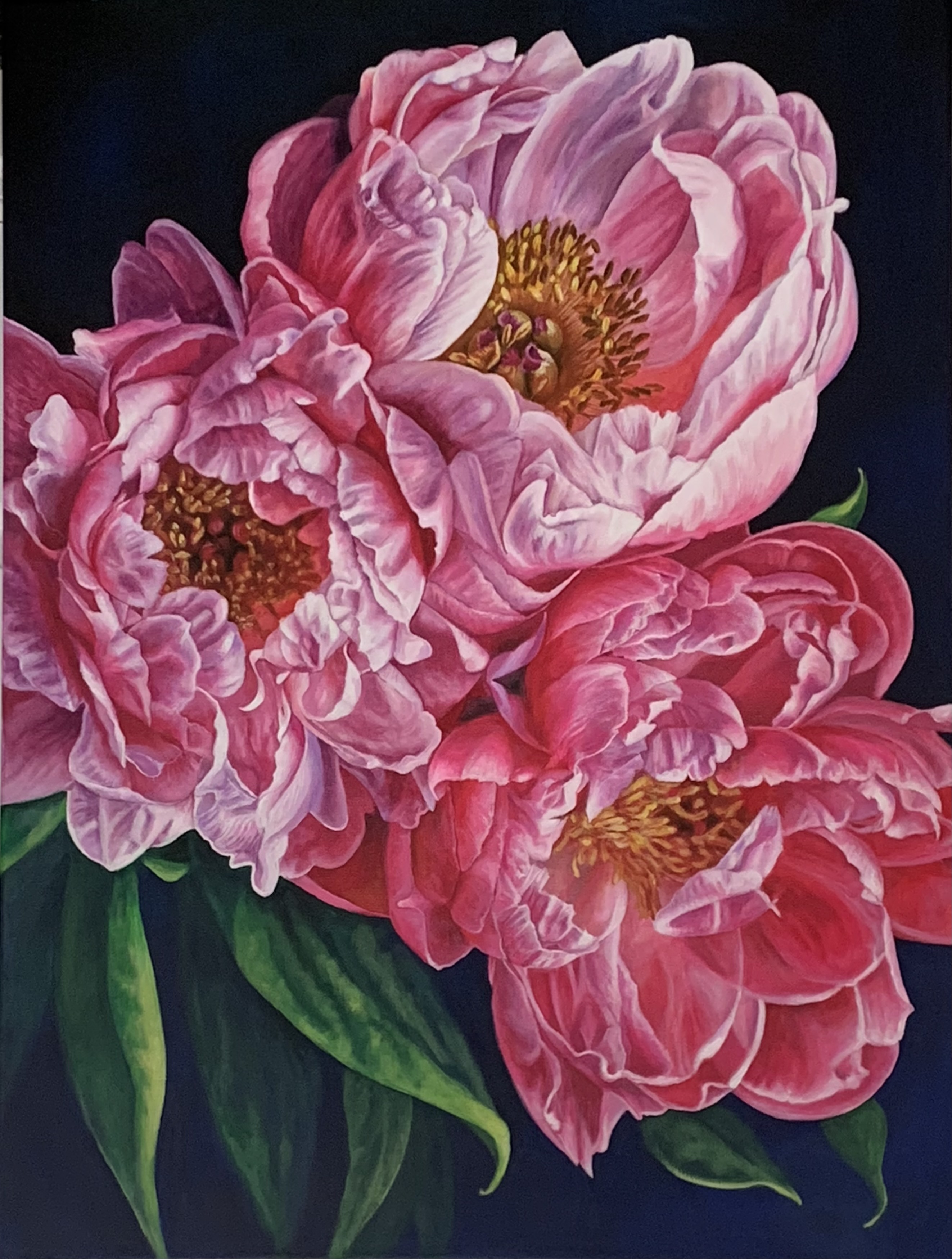 Les pivoines