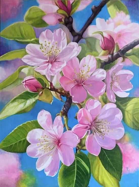 Les fleurs du pommier