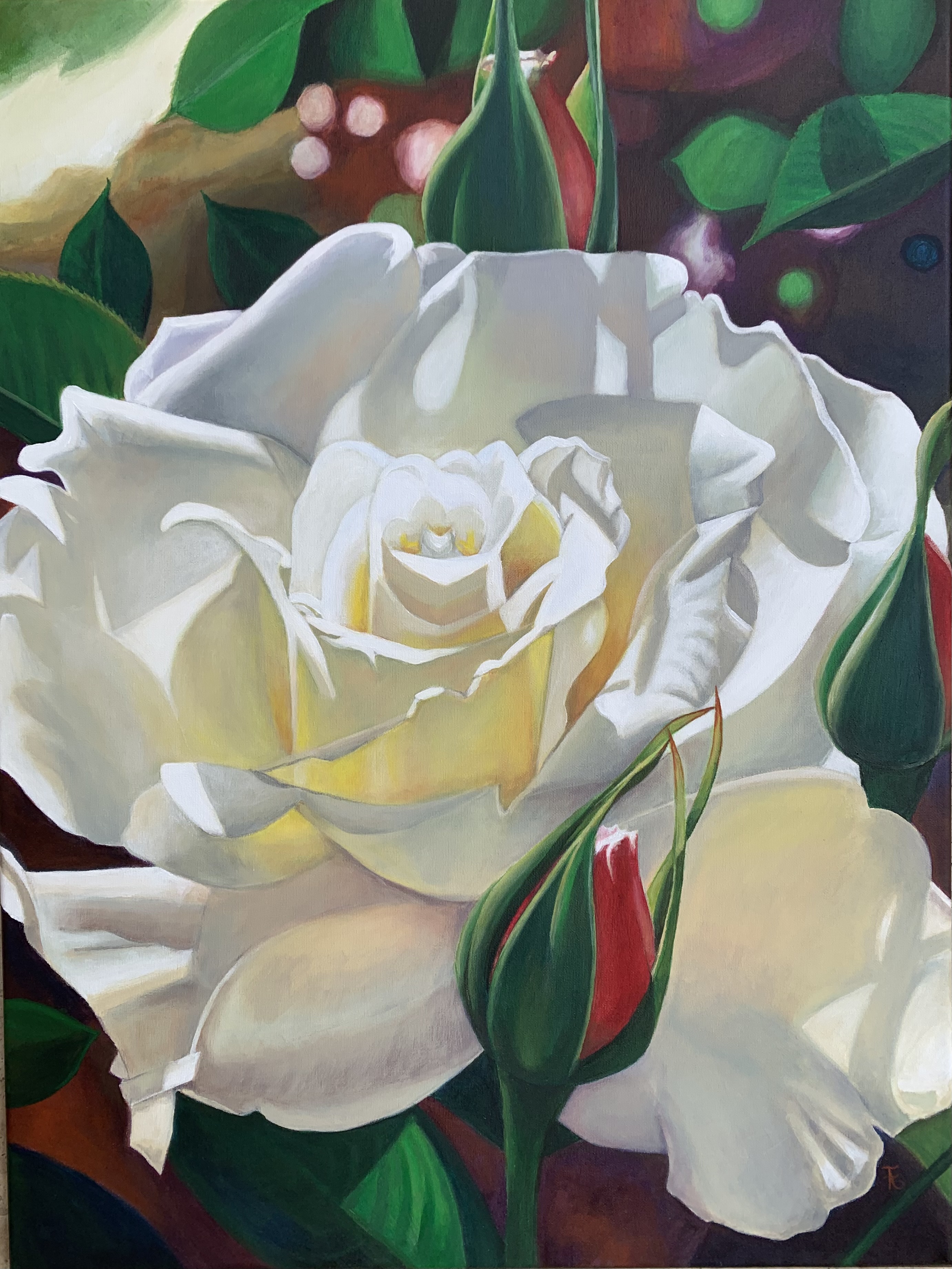 La rose blanche