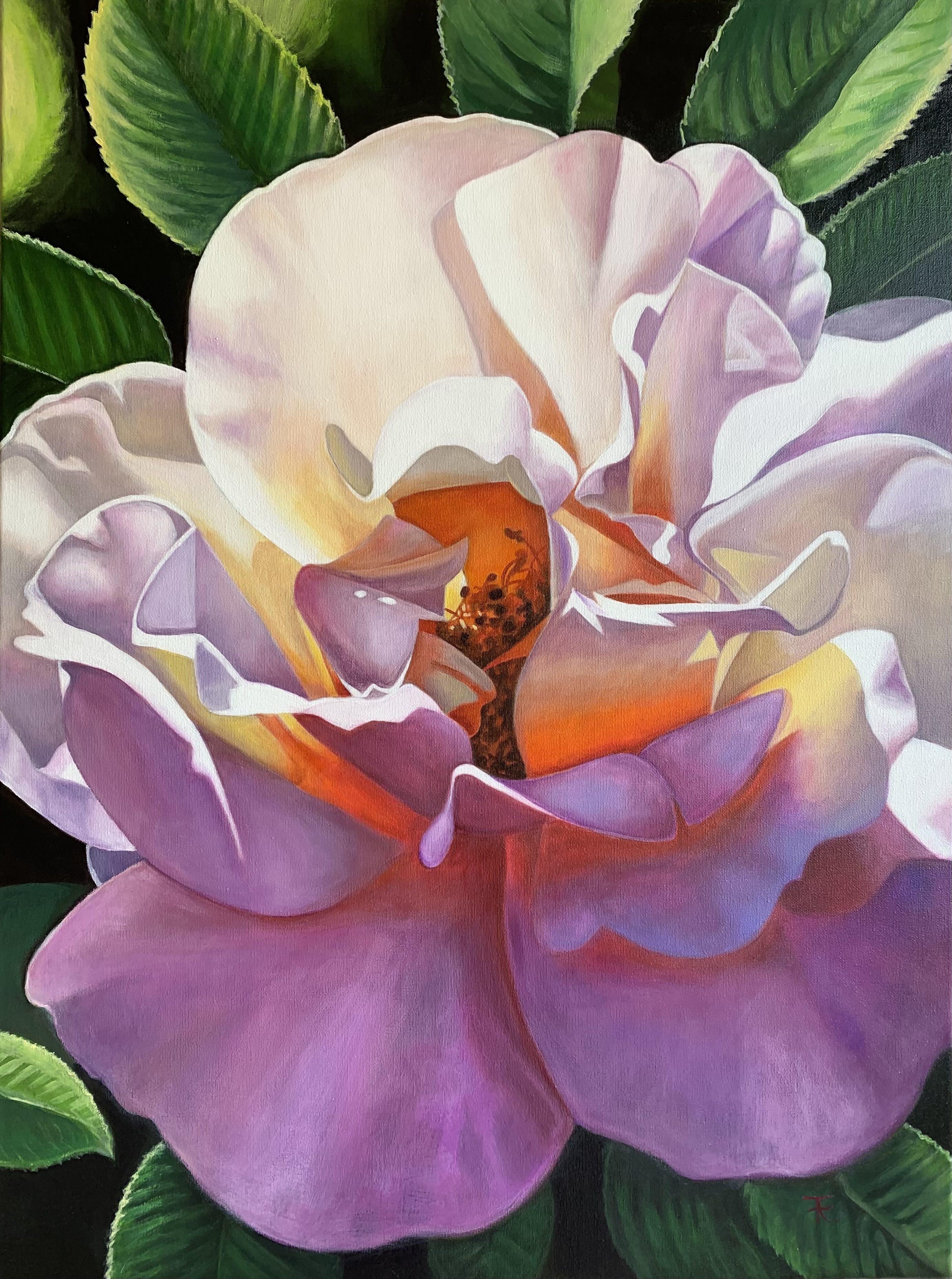 La rose sauvage